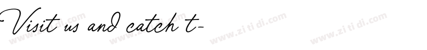 Visit us and catch t字体转换